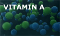 Picture for category Vitamin A